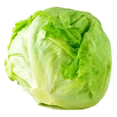 Iceberg Lettuce