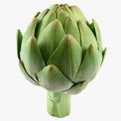 Artichoke