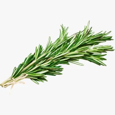 Rosemary