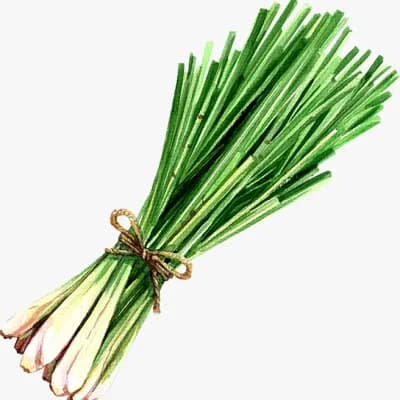 Lemon Grass