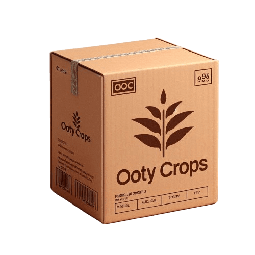 Eco-friendly vegetable packaging