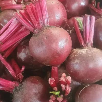 Beetroot