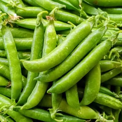 Green Peas