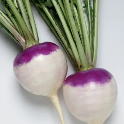 Turnip