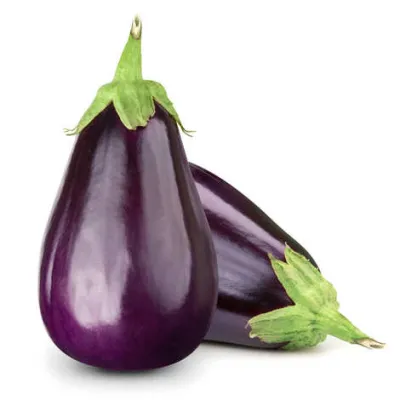 Egg plant
