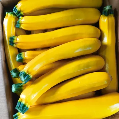 Zucchini Yellow